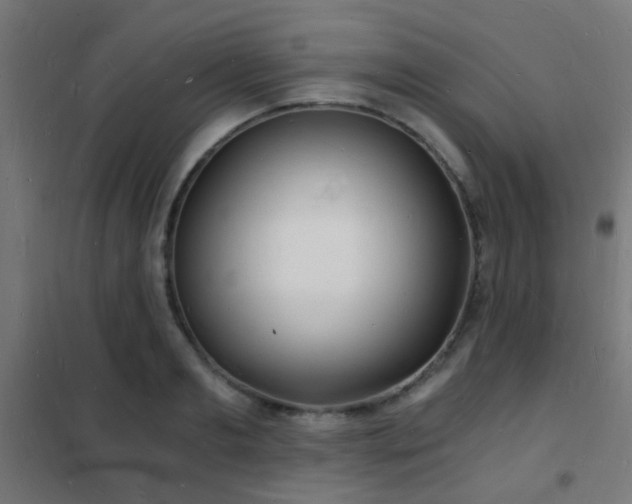 X0000102220893200807251208