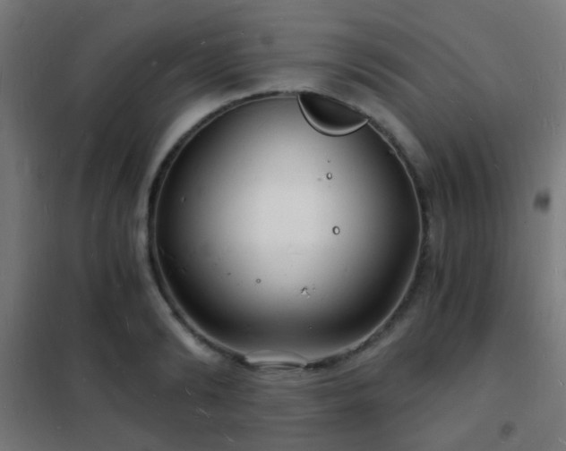 X0000102220894200807251208