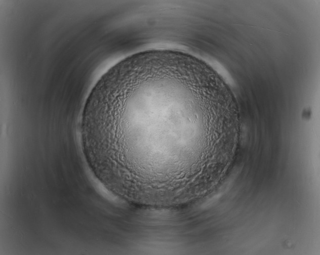 X0000102220895200807251208