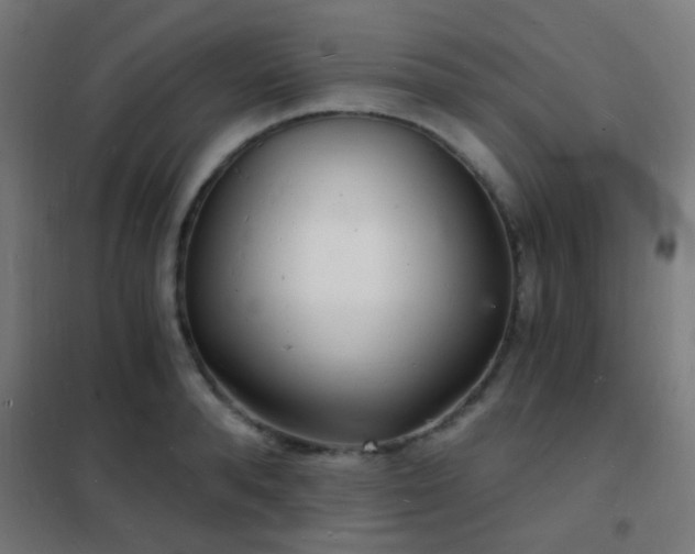 X0000102220896200807251208