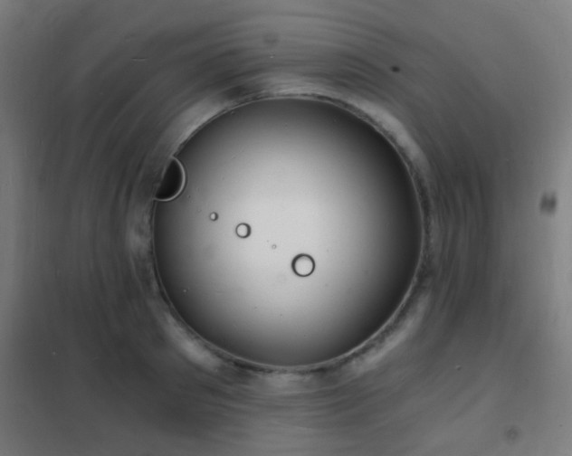 X0000102220897200807251208