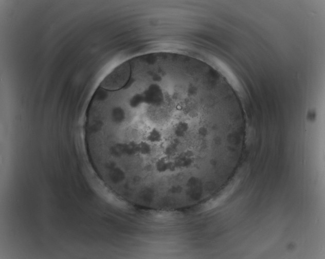 X0000102220899200807251208