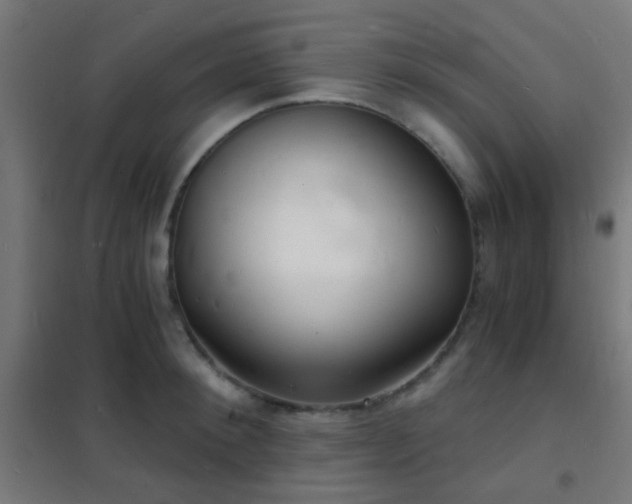 X0000102220900200807251208