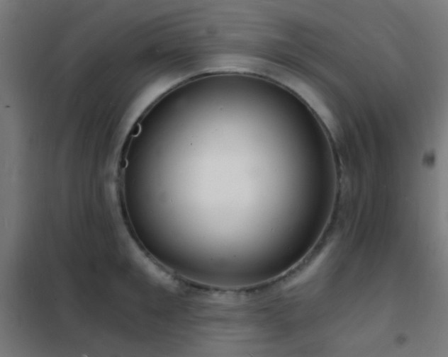 X0000102220901200807251208