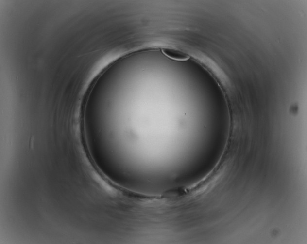 X0000102220902200807251208