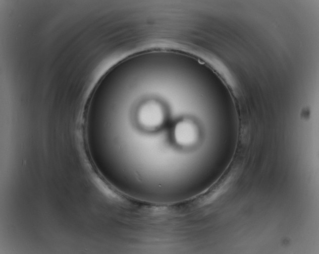 X0000102220903200807251208