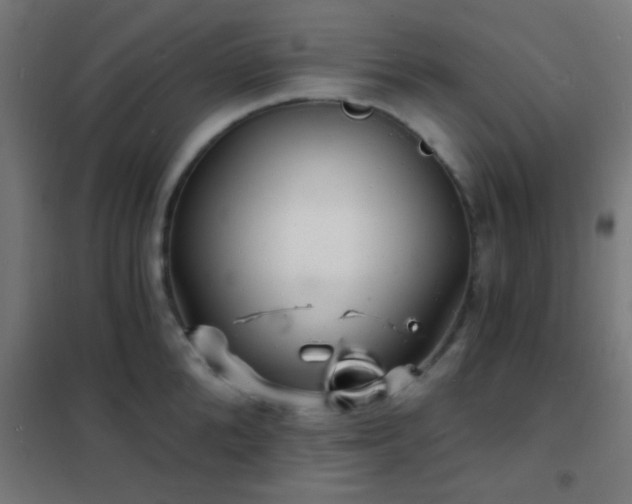 X0000102220904200807251208