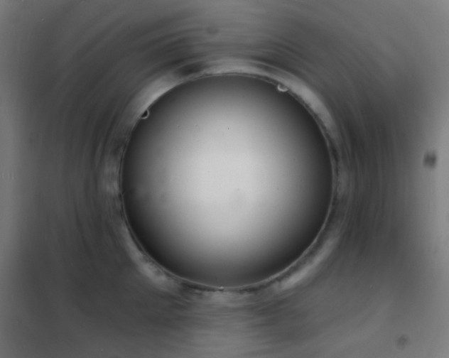 X0000102220905200807251208