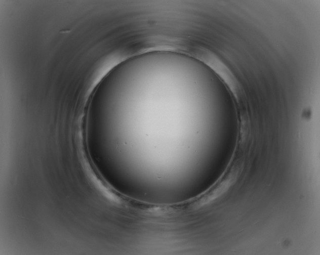 X0000102220906200807251208