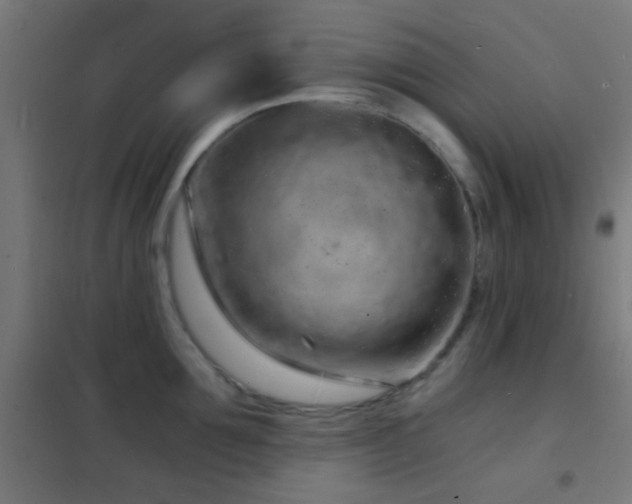 X0000102220907200807251208