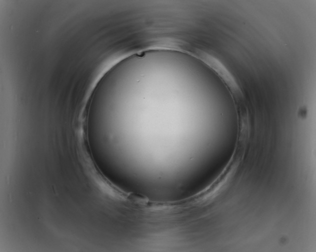 X0000102220908200807251208