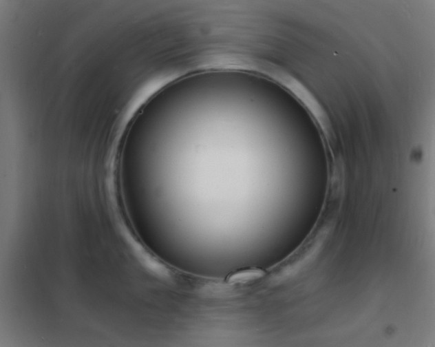 X0000102220909200807251208