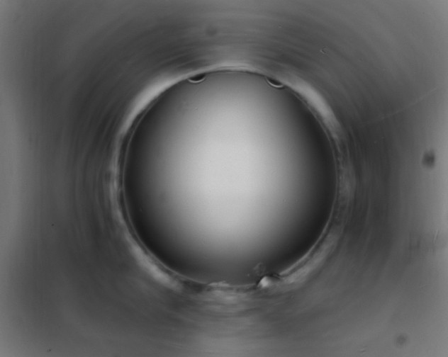 X0000102220910200807251208