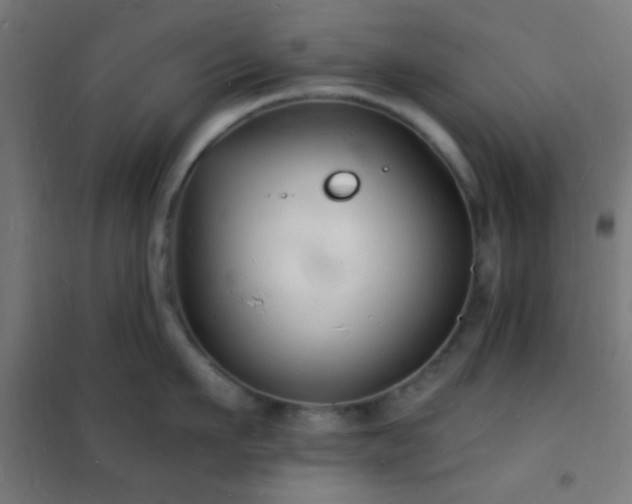 X0000102220911200807251208