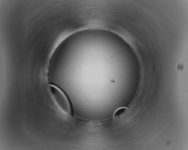 X0000102220912200807251208