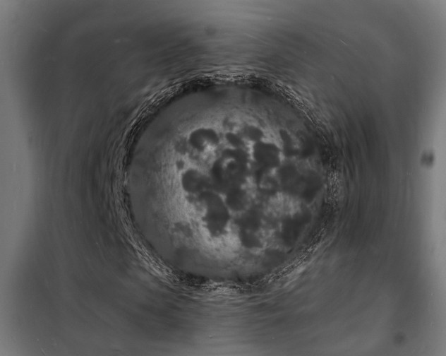 X0000102220913200807251207