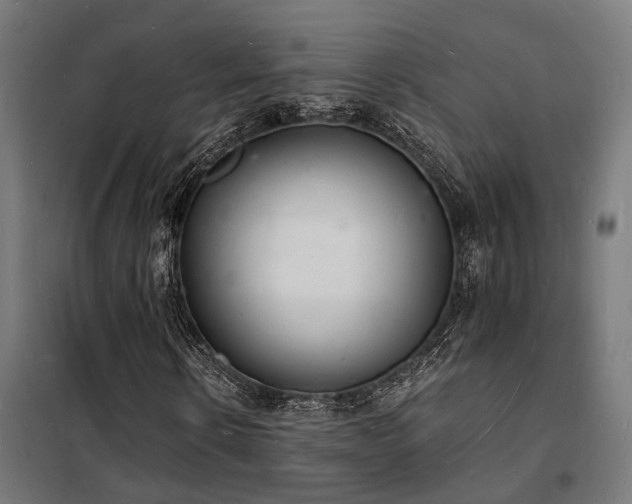 X0000102220914200807251207