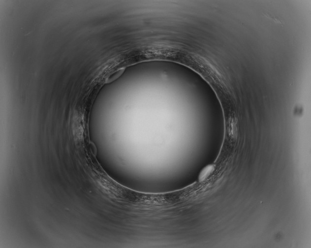 X0000102220915200807251207