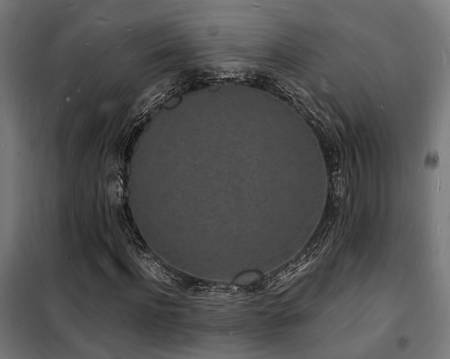 X0000102220916200807251207