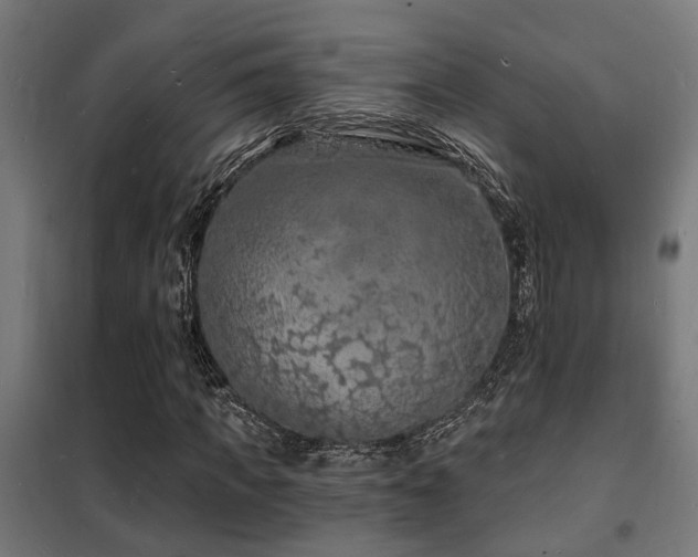 X0000102220917200807251207