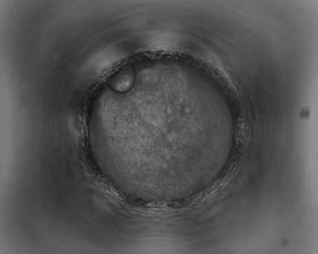 X0000102220918200807251207