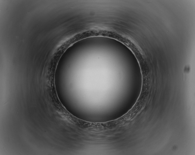 X0000102220919200807251207