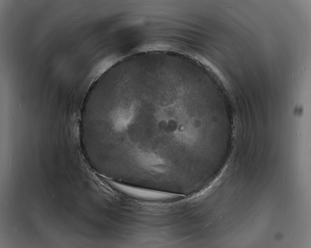 X0000102220921200807251207