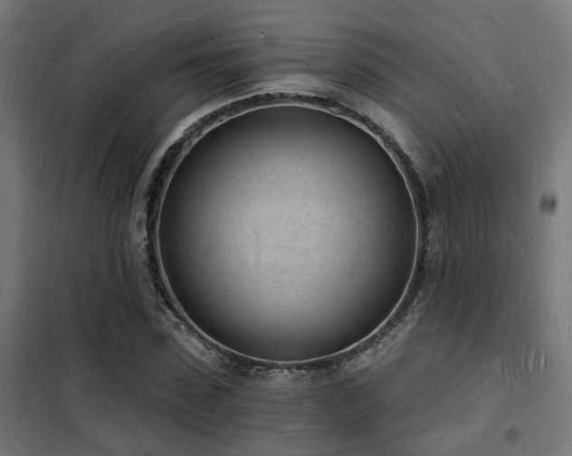 X0000102220923200807251207