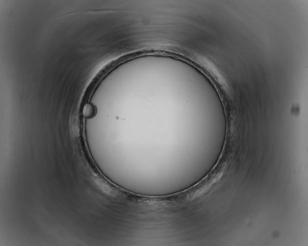 X0000102220924200807251207