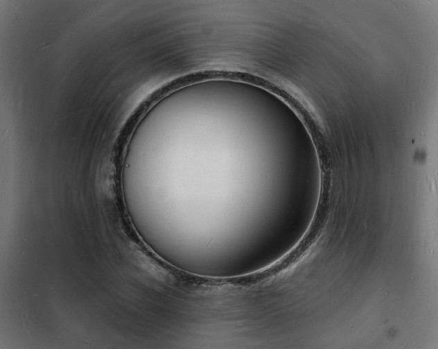 X0000102220926200807251207