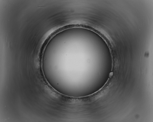 X0000102220927200807251207