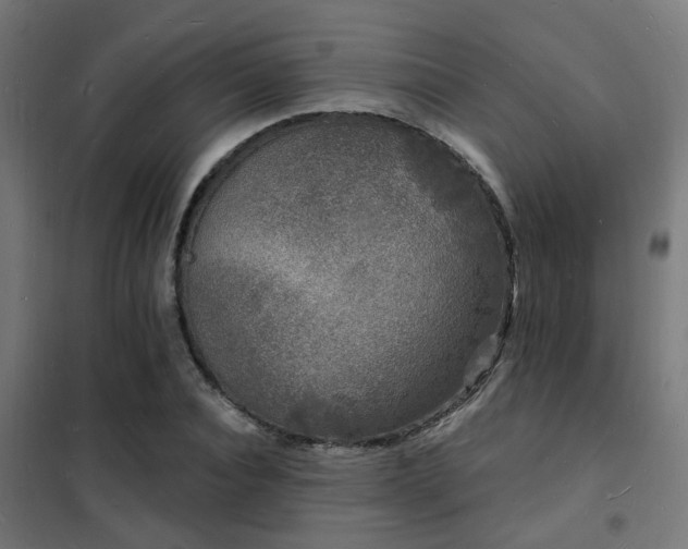 X0000102220928200807251207