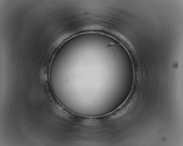 X0000102220929200807251207