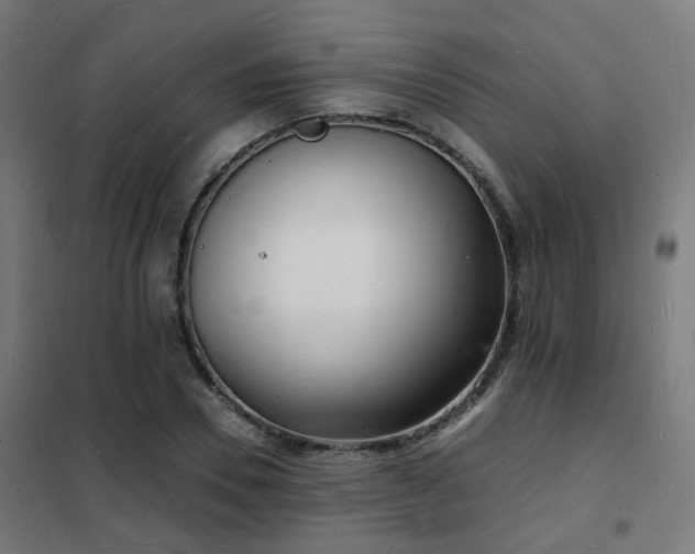 X0000102220930200807251207