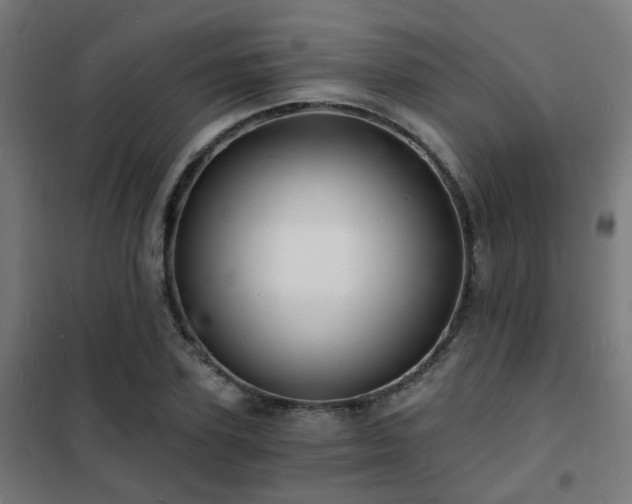 X0000102220931200807251207