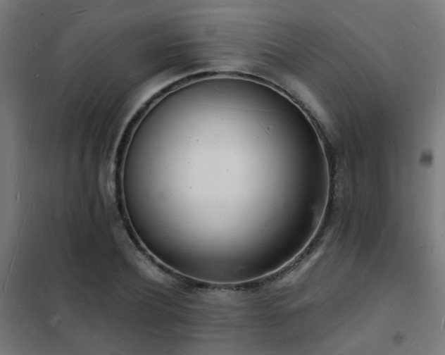 X0000102220932200807251207