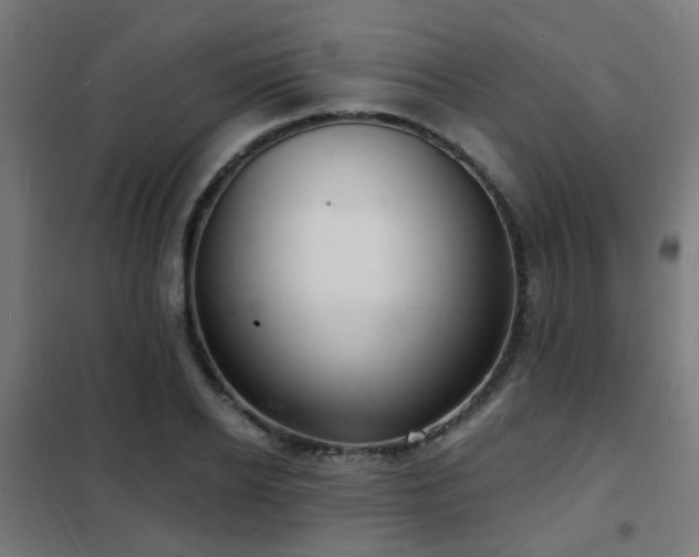 X0000102220934200807251207