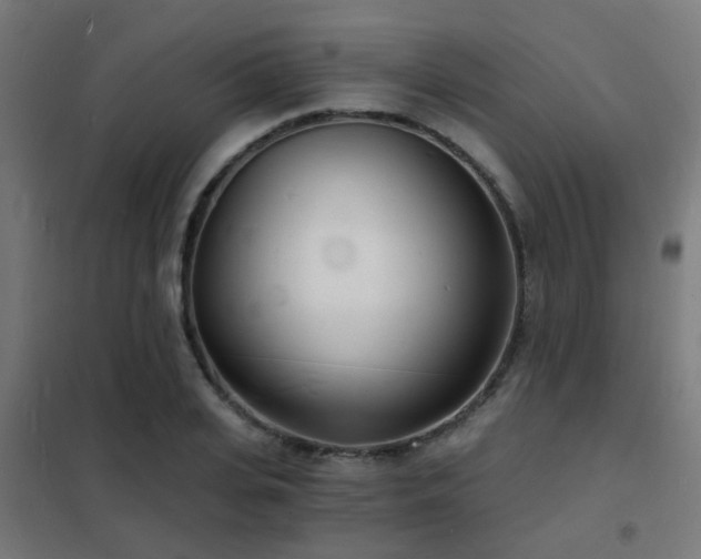 X0000102220935200807251207