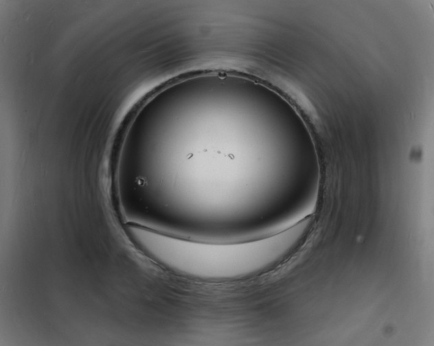 X0000102220936200807251207