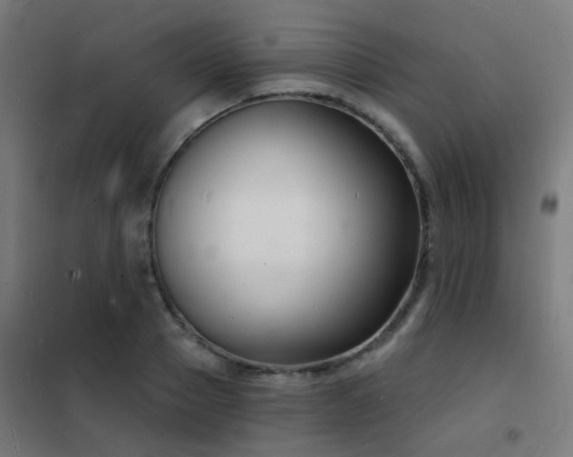 X0000102220937200807251207