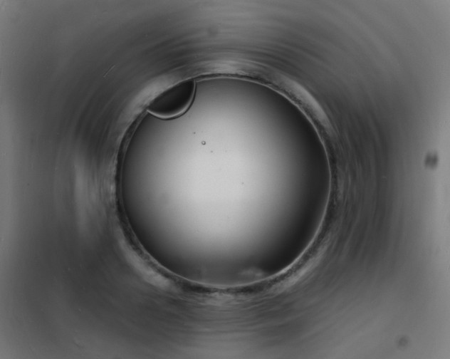 X0000102220938200807251207