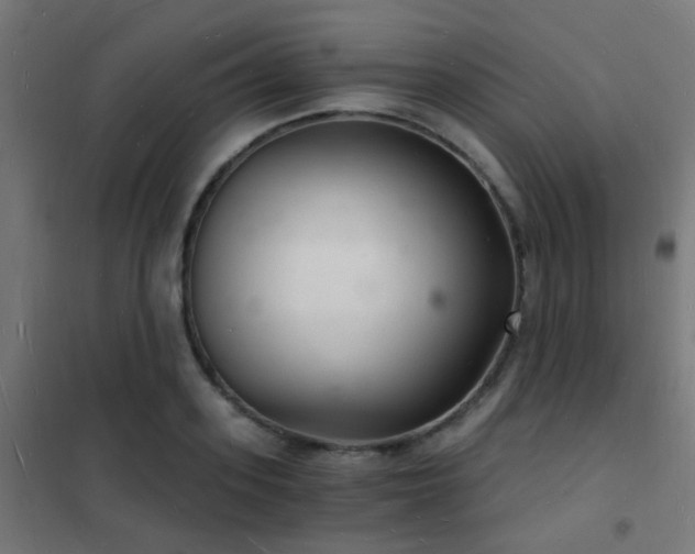 X0000102220939200807251207