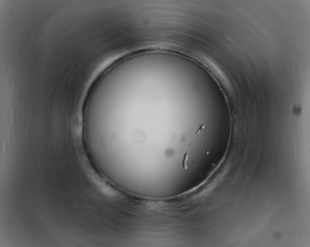 X0000102220940200807251207