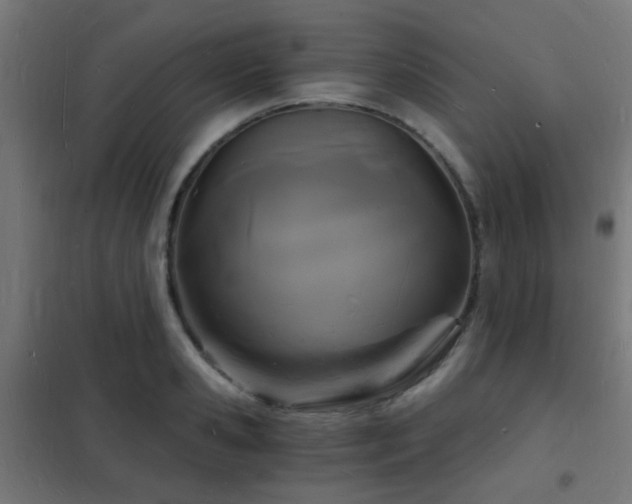 X0000102220941200807251207