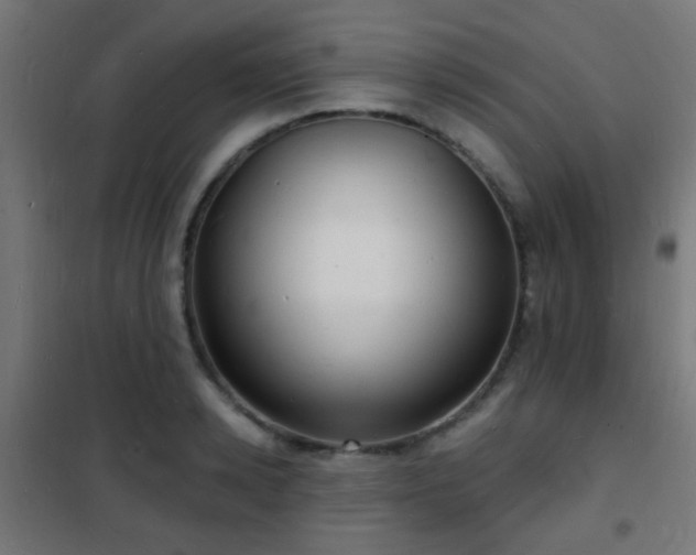 X0000102220942200807251207