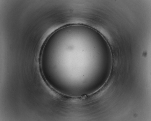 X0000102220943200807251207