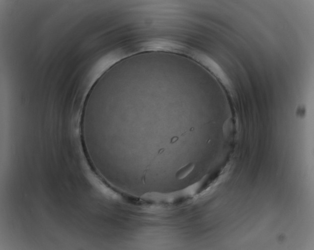 X0000102220946200807251208