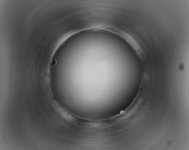 X0000102220948200807251208