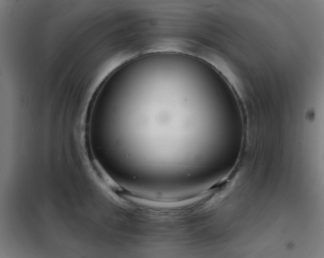 X0000102220949200807251208