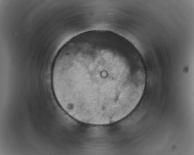 X0000102220950200807251208